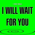 I Will Wait For You - I Will Wait, I Will Wait for You