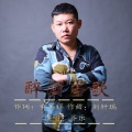 齐乐 - 醉酒当歌