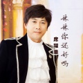 席跃华 - 妹妹你还好吗