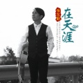 张东朗 - 在天涯
