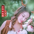 刘若宇 - 吉祥好姑娘