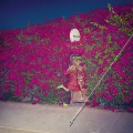 Feist - Any Party