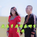 巴特 - 我在草原你在哪里