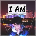 王向黎 - 远方