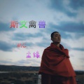 陈缘 - 我没有那么喜欢你