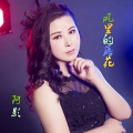 阿影 - 风里的落花