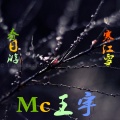 逸飞 - 春日游过寒江雪