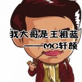轩颜 - 感情废物