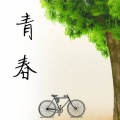 肖东 - 归零