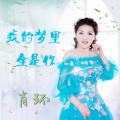 肖环 - 我的梦里全是你