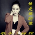 林霖 - 谁是谁的谁