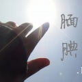 袁博 - 腼腆