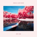 Zedd、Liam Payne - Get Low