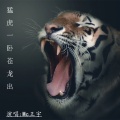 逸飞 - 猛虎一卧苍龙出