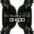 The Meaning Of Life (DJ KOO Original Mix)