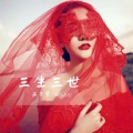 苏子孽、AnJuy - 灵动幻音