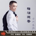 曲调悠扬 - 梅泪凝香