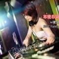 DJ筱苒 - 2017车载串烧DJ (二)