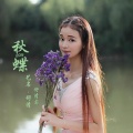 舒清 - 秋蝶2016
