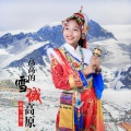 李郡一 - 高高的雪域高原