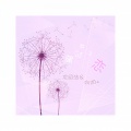 龙绍洁、向阳 - 蒲公英之恋