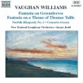 New Zealand Symphony Orchestra、James Judd - Norfolk Rhapsody No. 1