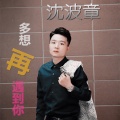 沈波章 - 多想遇见你