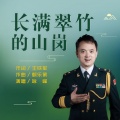 陈永峰 - 长满翠竹的山岗