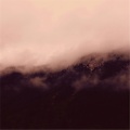 Lotte Kestner - Pink Moon