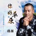 张强 - 你好，草原