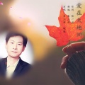 秦立新、晓晓 - 爱在天地间