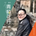 梁凡 - 青梅花开