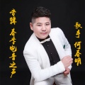 何春明 - 许多年以后