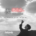 MC赵小涣 - 童话镇