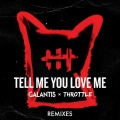 Tell Me You Love Me (Toby Green Remix)