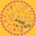 刘旭阳、王逗逗 - 爱上我 (DJ承利版)