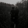 Goldmund - Angel