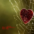 王媛渊、吴丰佐 - 放逐