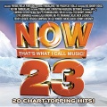 Now That's What I Call Music! 23(US)