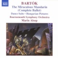 bournemouth symphony orchestra、Marin Alsop - IV. Molto tranquillo