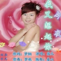 容儿 - 今夜我又想起你