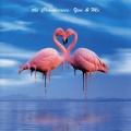 The Cranberries - I Can't Be With You (Live)