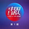 刘迦帝乐队 - 树枝孤鸟