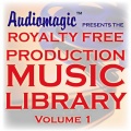 Audiomagic Music Studios - Country Howdown