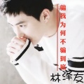 林泽友 - 骗我为何不骗到底