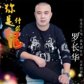 罗长华 - 你是什么鬼 (DJ何鹏版)