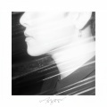 HOYA (호야) - Angel