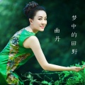 曲丹 - 梦中的田野