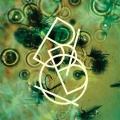 Bibio - Dinghy