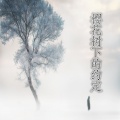 程浩迪 - 我愿用我半生年华